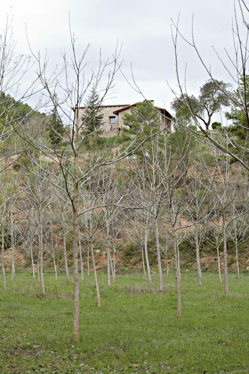 Masia Ca L'Anima La Baronia de Rialb Ngoại thất bức ảnh