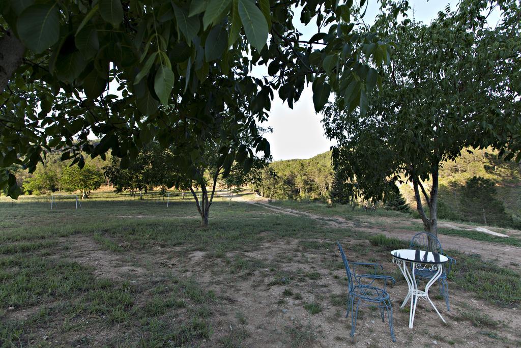 Masia Ca L'Anima La Baronia de Rialb Ngoại thất bức ảnh