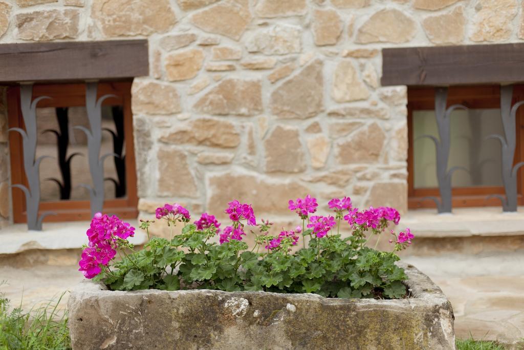 Masia Ca L'Anima La Baronia de Rialb Phòng bức ảnh
